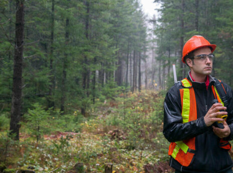Forestry SFI ATFS-IQC ISO9001