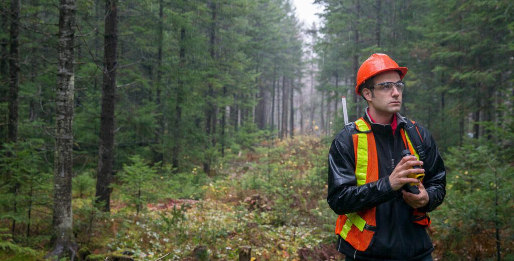 Forestry SFI ATFS-IQC ISO9001